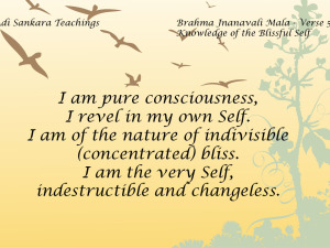 Brahma Jnanavali Quote 5